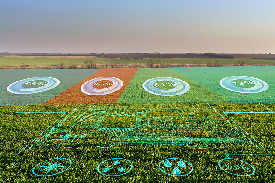 Diferenças entre agricultura digital e agricultura de precisão