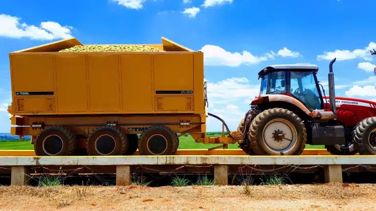 Transbordo de laranja qual a máquina essencial para a colheita das frutas