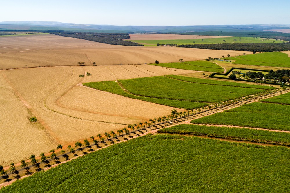 Minas Gerais amplia presença no agronegócio e se destaca em mercados estratégicos internacionais